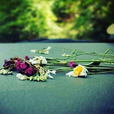 万博app下载最新版