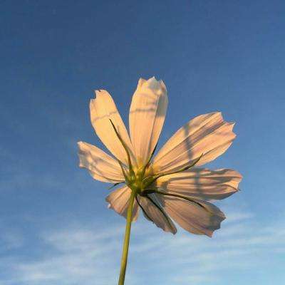 江南官方全站app下载