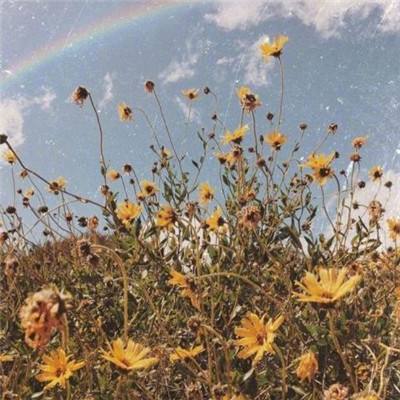 乐鱼体育手机app下载