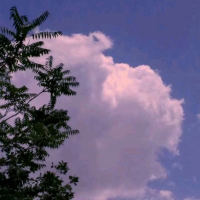 2023管家婆资料正版大全澳门下载手机版