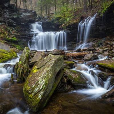 2023管家婆资料正版大全澳门下载手机版截图