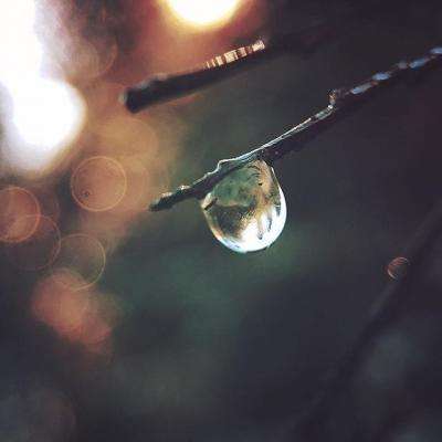 麻将胡了链接下载