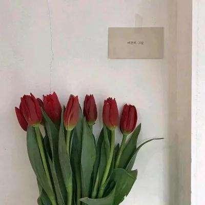 乐鱼游戏app在线登录app下载