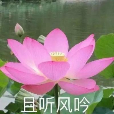 狗万manbet手机app下载