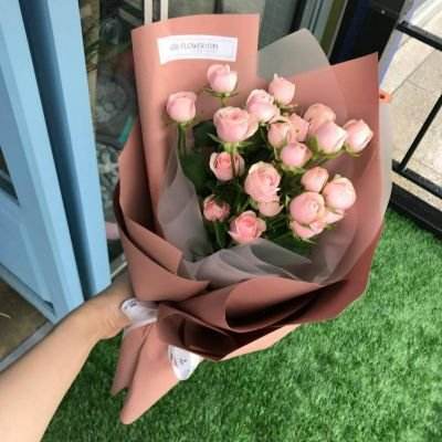 乐鱼游戏app在线登录app下载