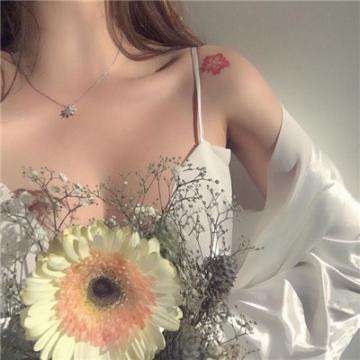 1788网投下载手机版